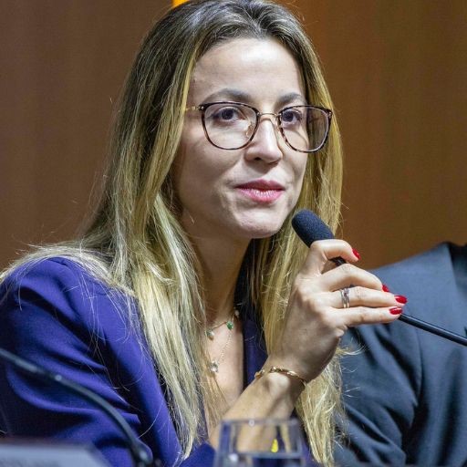 Seminário debate avanços e desafios na proteção da Mata Atlântica após 20 anos de legislação