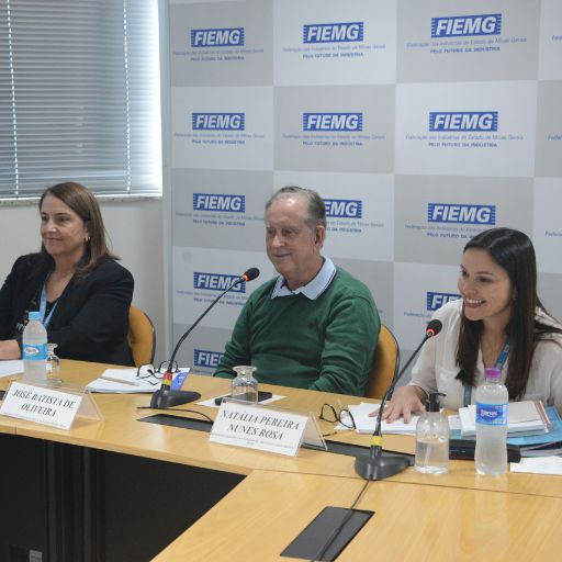 conselho-educacao-treinamento-fiemg-maio-25