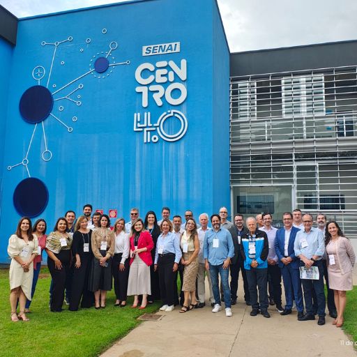 numeros-programa-desenvolvimento-conselheiros (2)