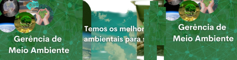 Gerencia meio ambiente