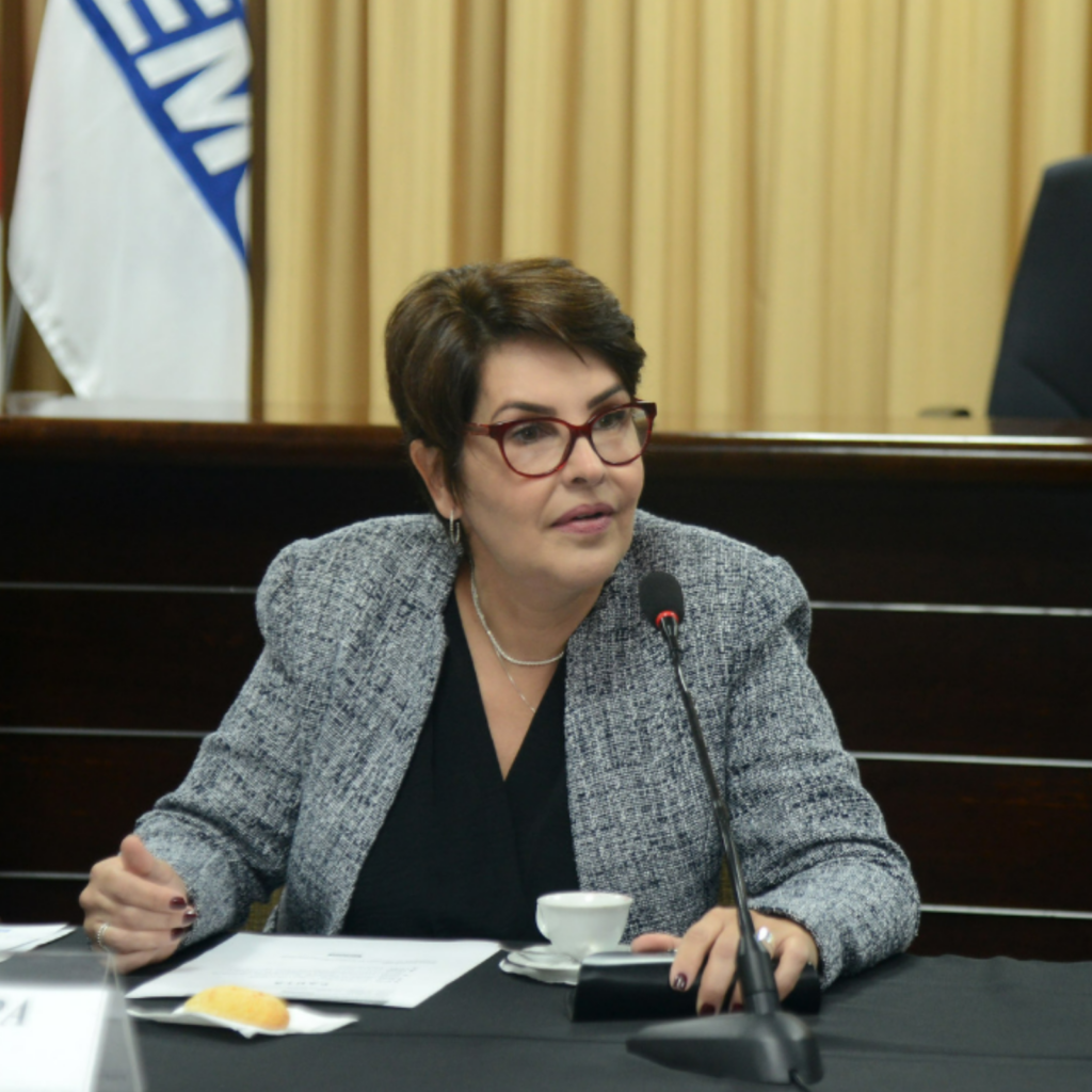 conselho de desenvolvimento