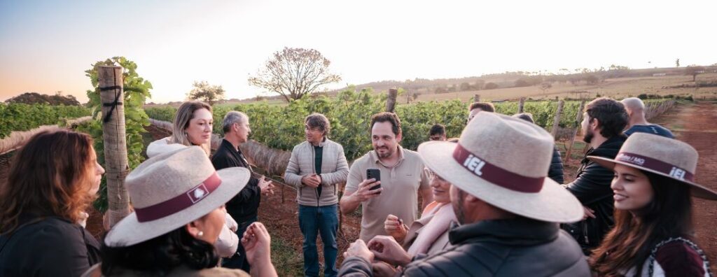 Projeto Imagem valoriza indústria do vinho no Cerrado Mineiro