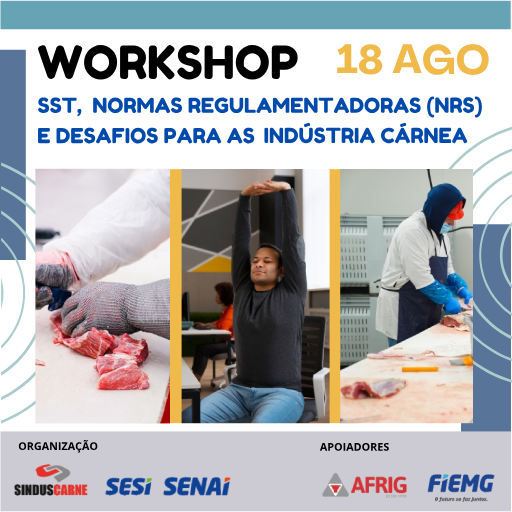 workshop sst_THUMB