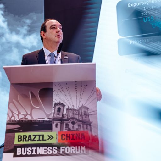 Brazil China Forum (2)