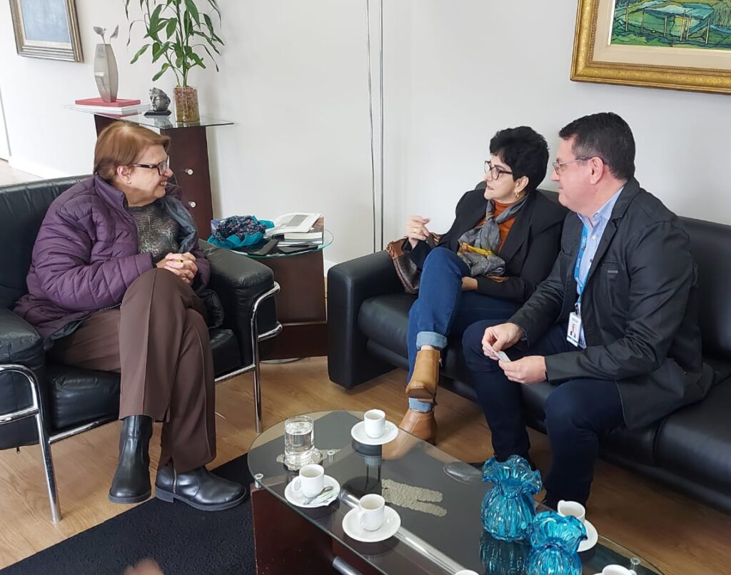 reunião margarida 2