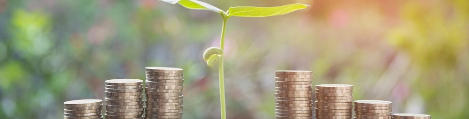 Investimento Social Privado