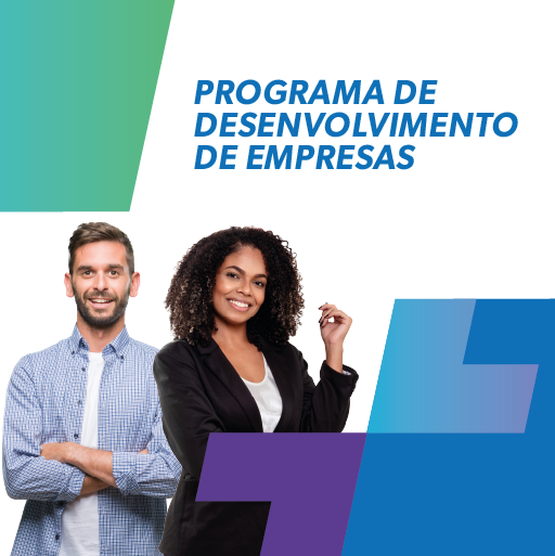 Programa de Desenvolvimento de Empresas