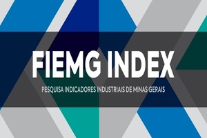 INDEX MINIATURA