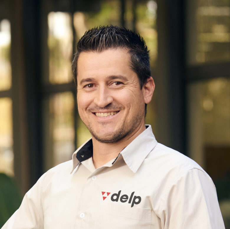 Delp3366