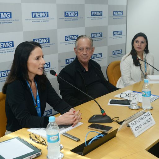 conselho-educacao-treinamento-fiemg