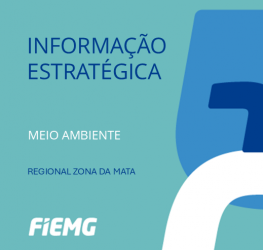 CARD INFORMAÇÃO ESTRATÉGICA PEQ