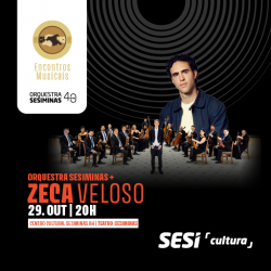 SC000626M_EMBH_ZECAVELOSO_DIGBANNERS_V2IMPRENSA_THUMB
