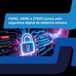 strati-fiemg-ciemg-manual-ciberseguranca (2)